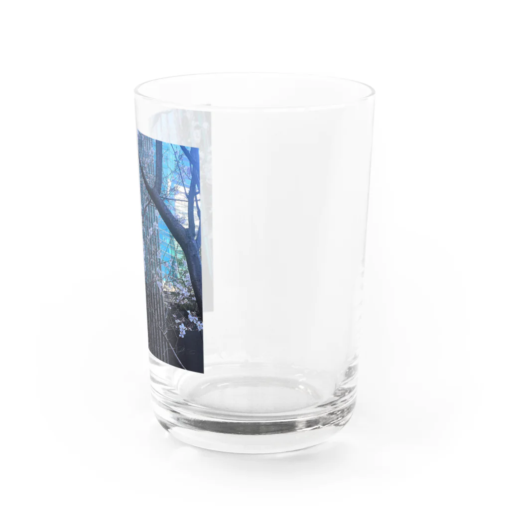 ふかみどりのお家の想いを馳せる春 Water Glass :right