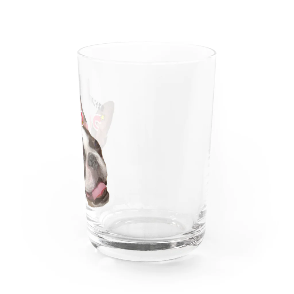 tsukune69のぼすとんてりあのつくね Water Glass :right