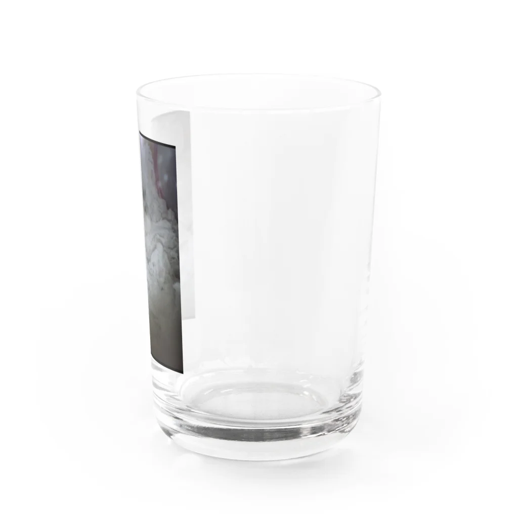 SUMOMOのハムハムハム太郎 Water Glass :right