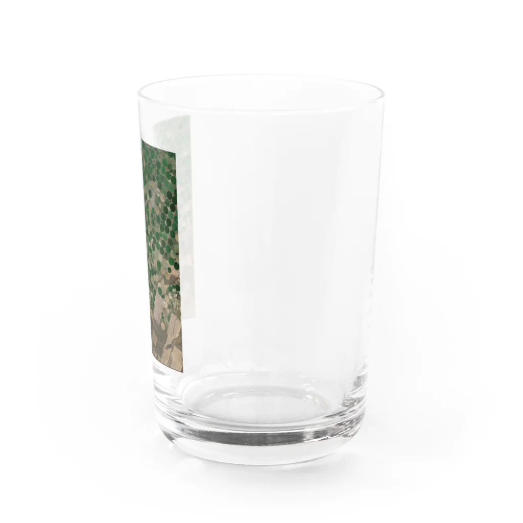 K.G.Bのnojoe Water Glass :right