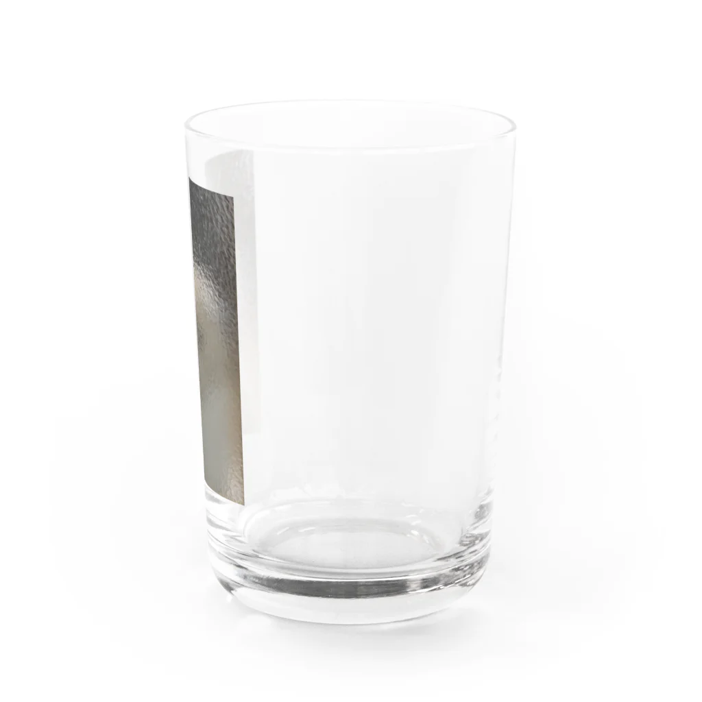 goodpugshopのキンパの影 Water Glass :right