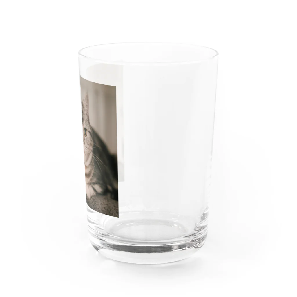 ゆずグッズのくつろぐゆず Water Glass :right