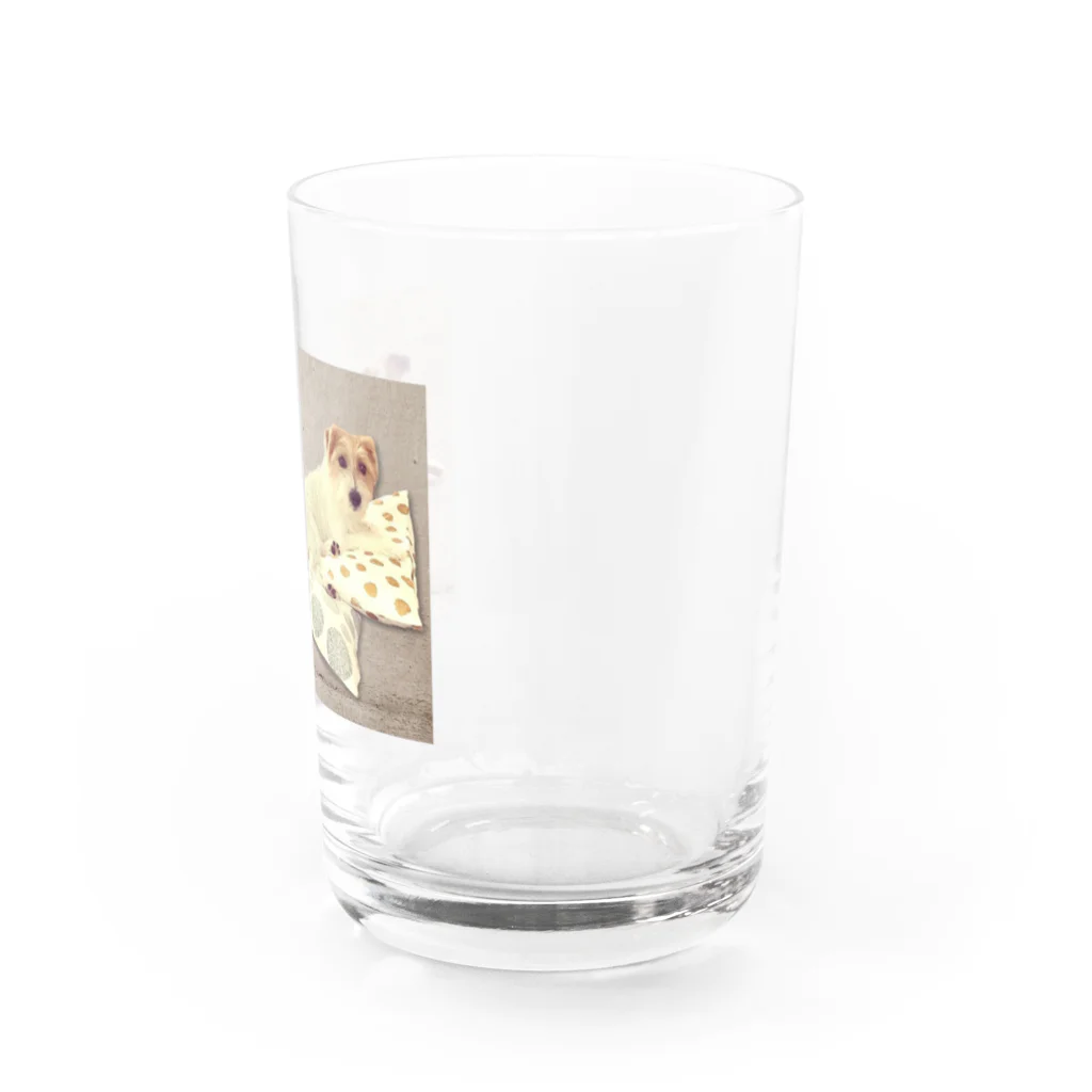 yunoyunojack の座っておすましブラザーズ Water Glass :right