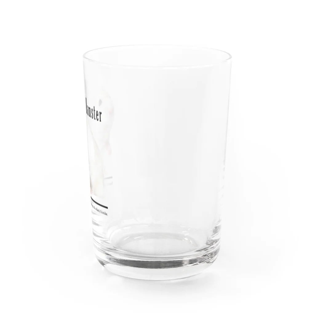 ハムスターといつでも一緒★のハムスター Water Glass :right