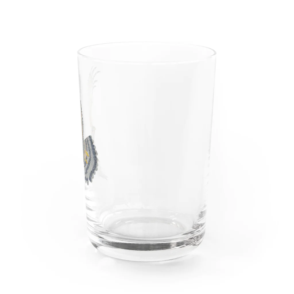 Coshi-Mild-Wildのサシバ_D Water Glass :right