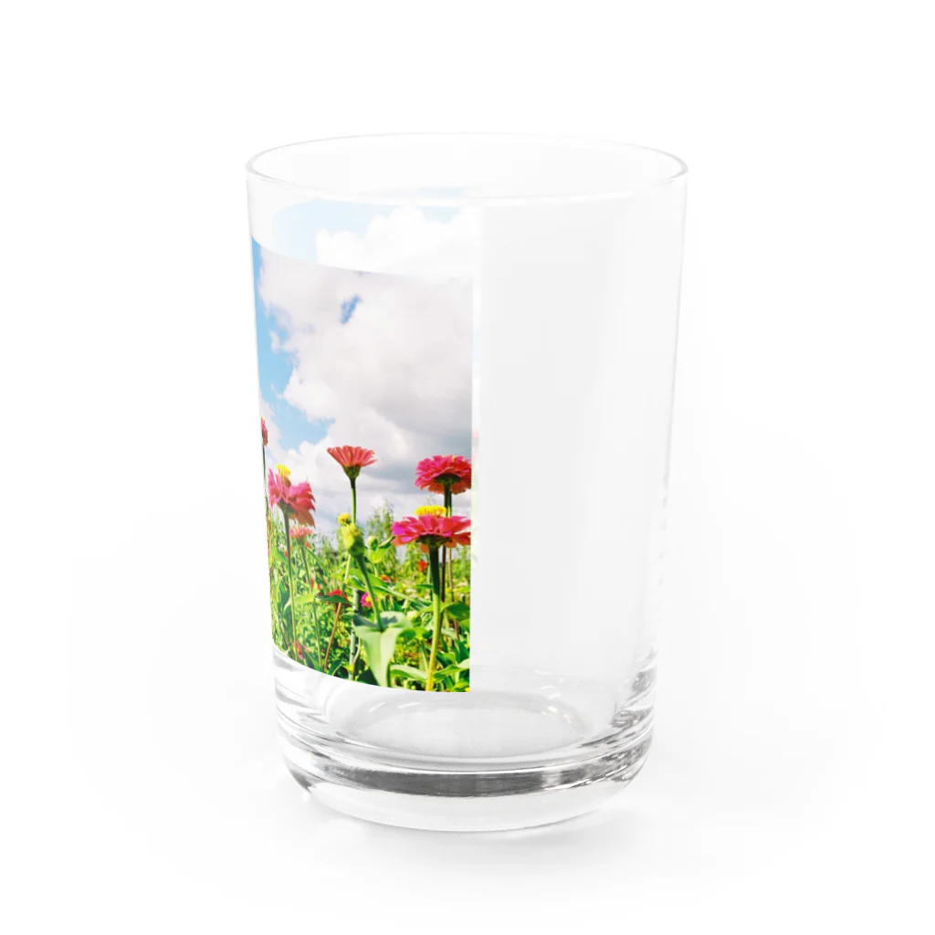 Oli22のPEACE Water Glass :right