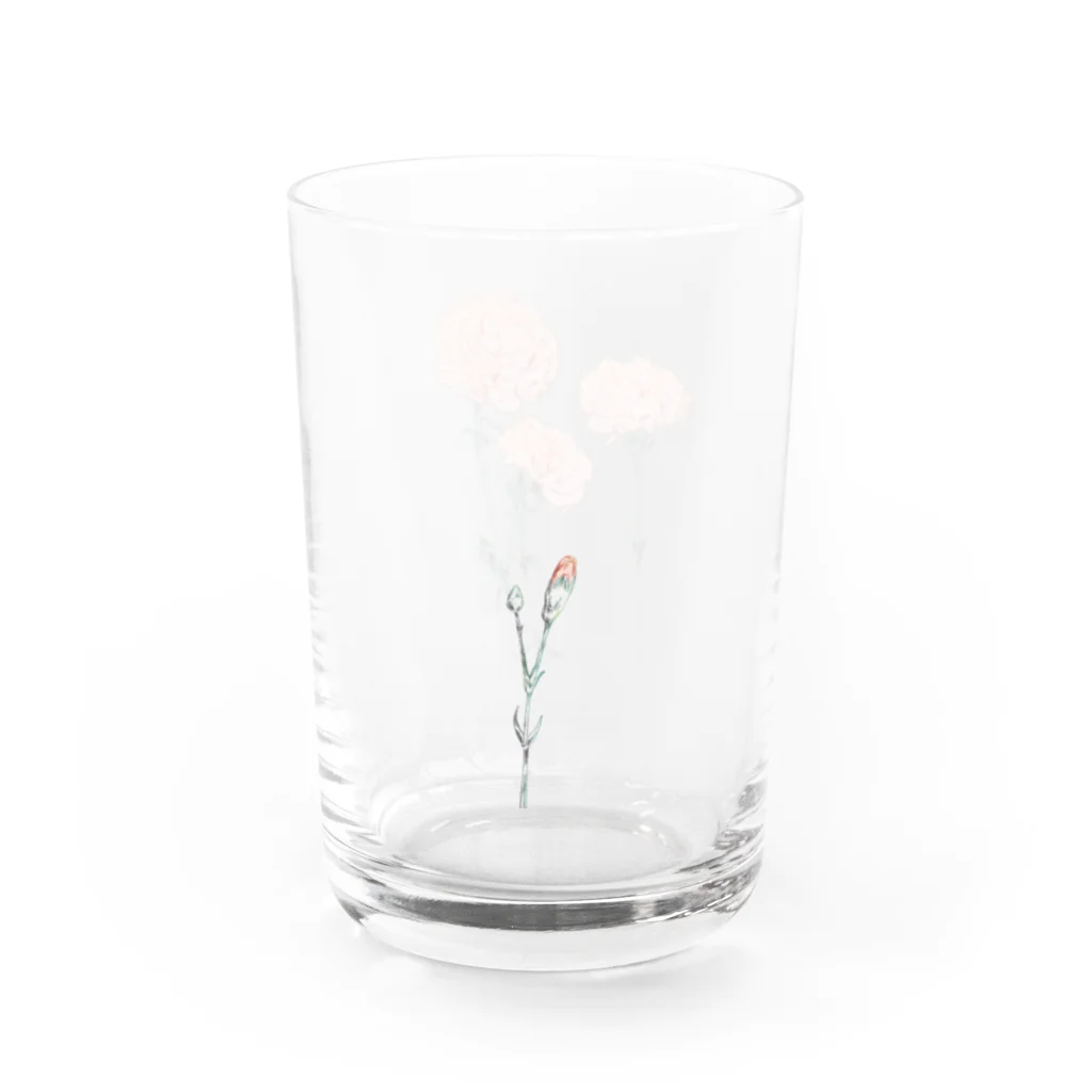 すみわたるのカーネーション　pink Water Glass :right