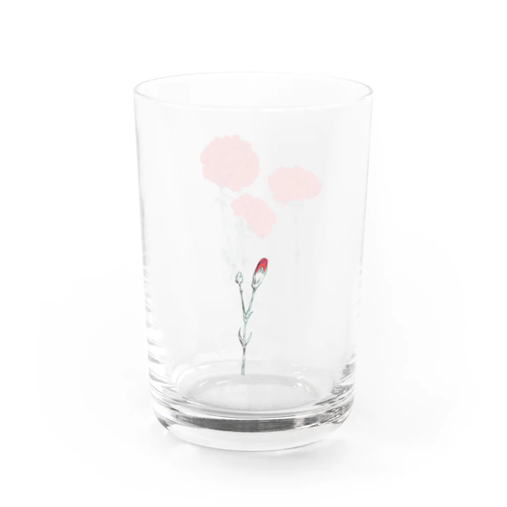 すみわたるのカーネーション　aka Water Glass :right