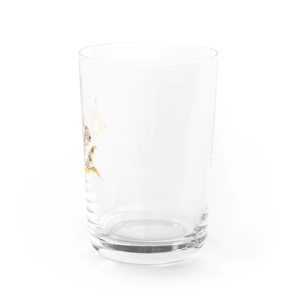 1℃⑥8〜わんど☆ろくまる屋の金鯉鯉 Water Glass :right