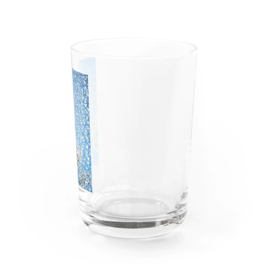 niwakungfuのsakura Water Glass :right