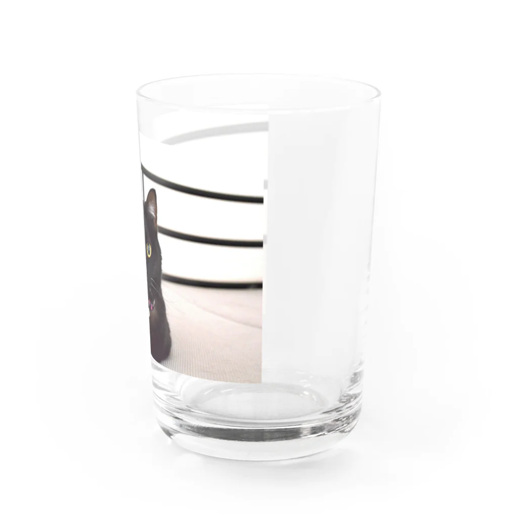 黒猫のうめたんの黒猫のうめたん Water Glass :right