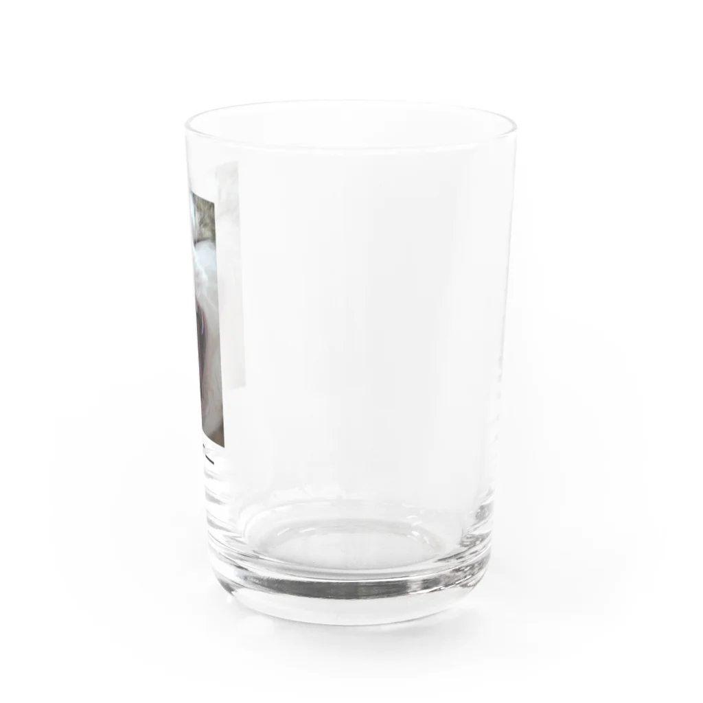 colorisのガオーネコ Water Glass :right