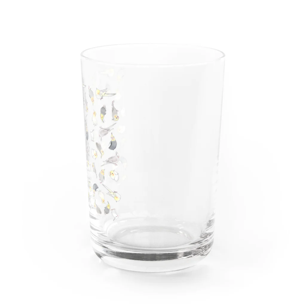 まめるりはことりのたっぷりオカメインコちゃん【まめるりはことり】 Water Glass :right