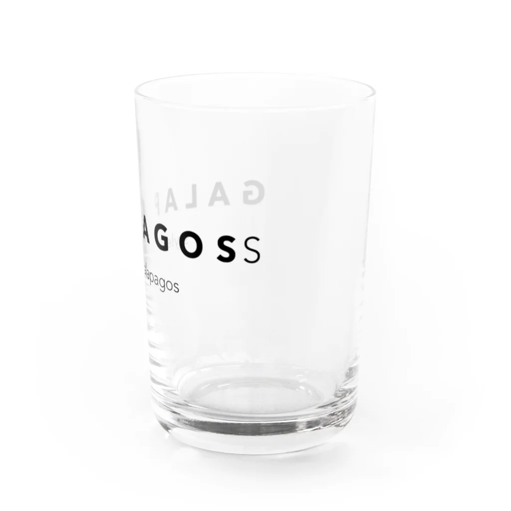 California StockingのGALAPAGOSS Water Glass :right