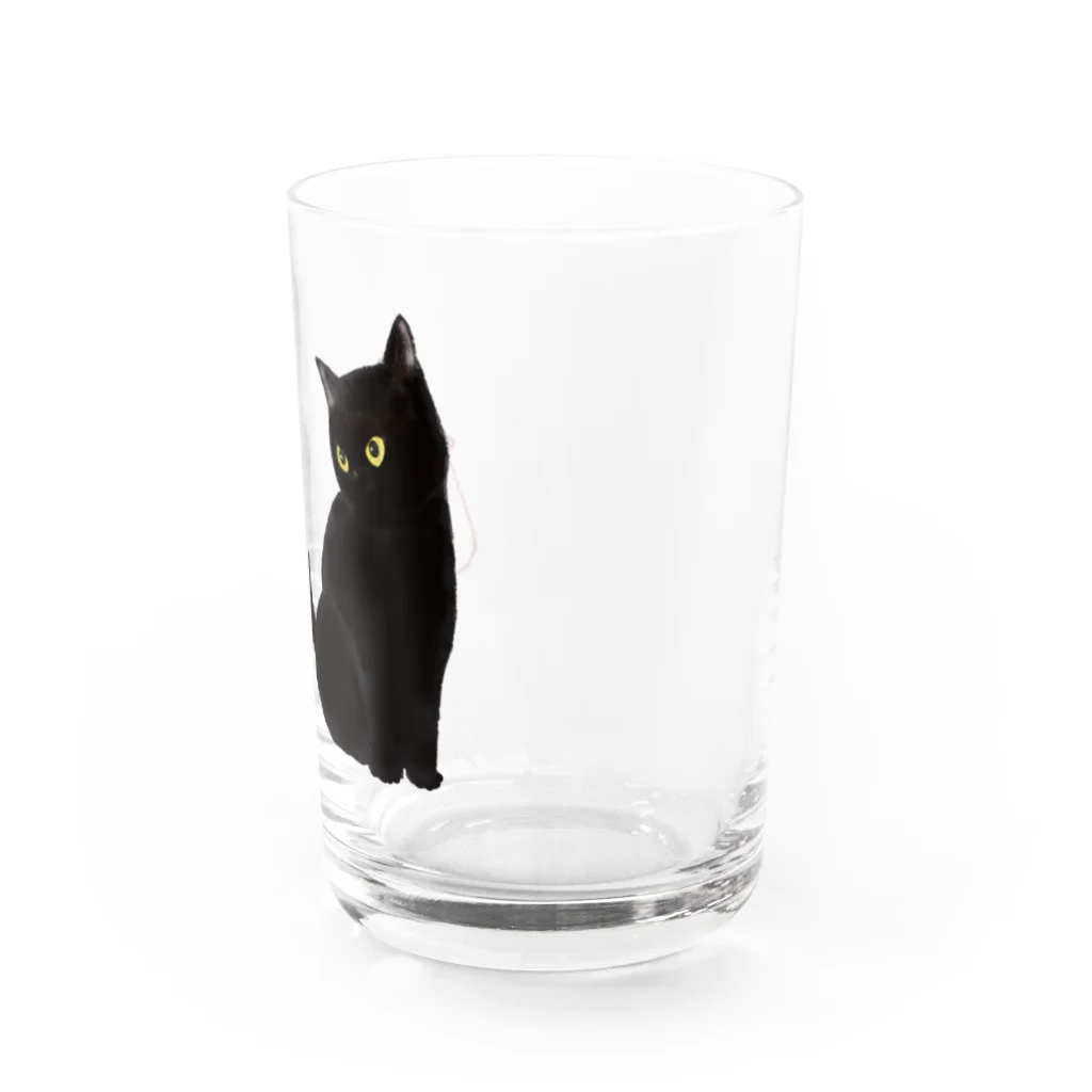 WAMI ARTのランタン猫 Water Glass :right