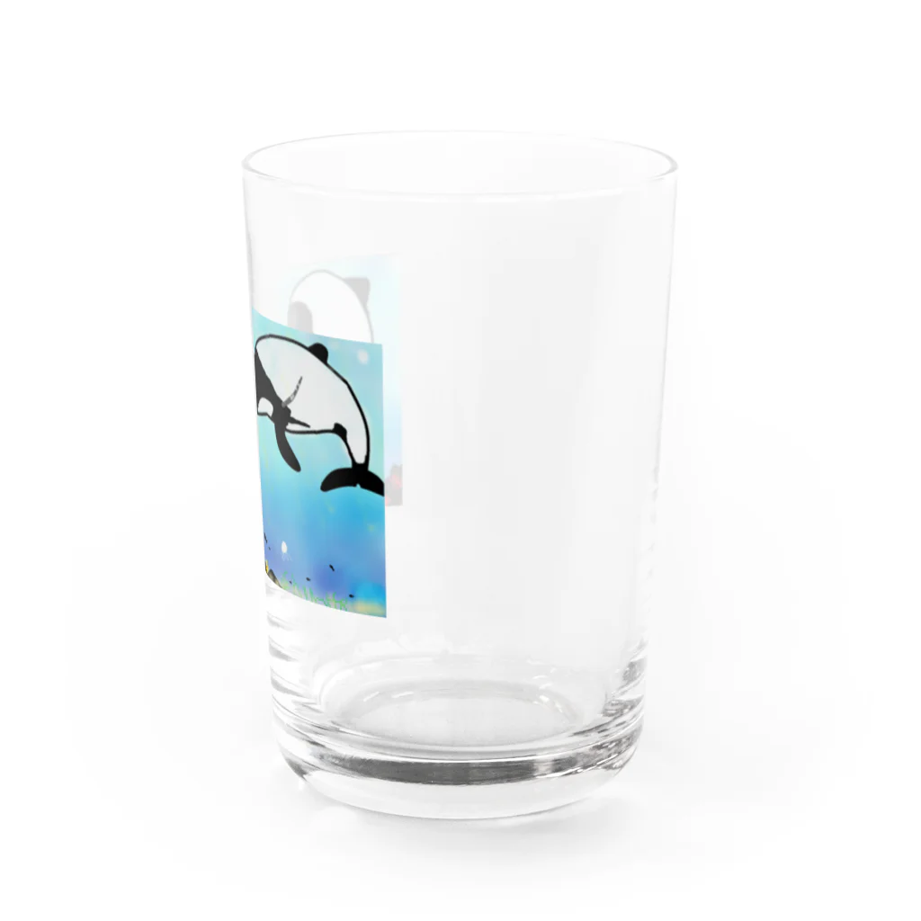 baddogのイロワケイルカ Water Glass :right