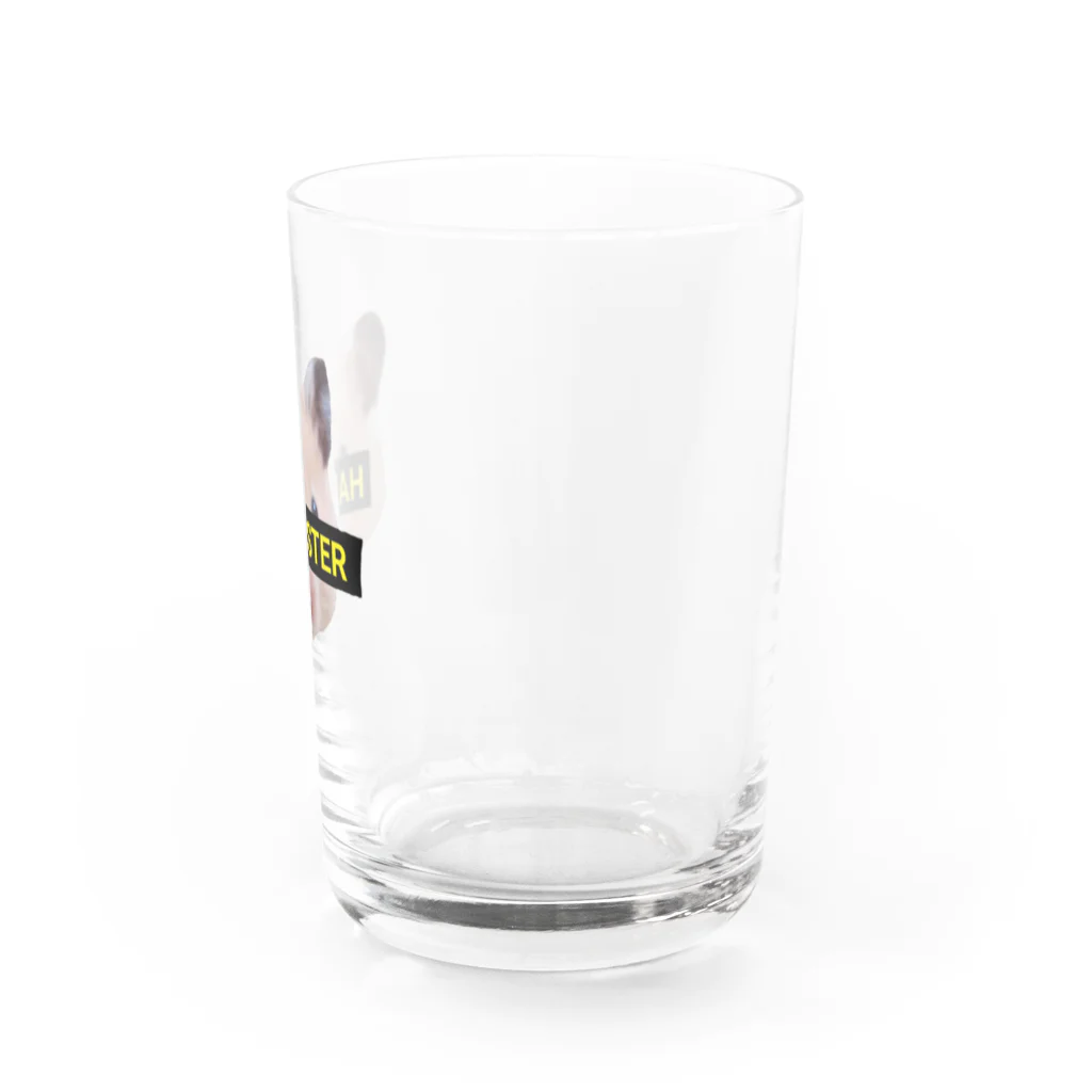 【Yuwiiの店】ゆぅぅぃーのHAMSTER★はむすたー Water Glass :right