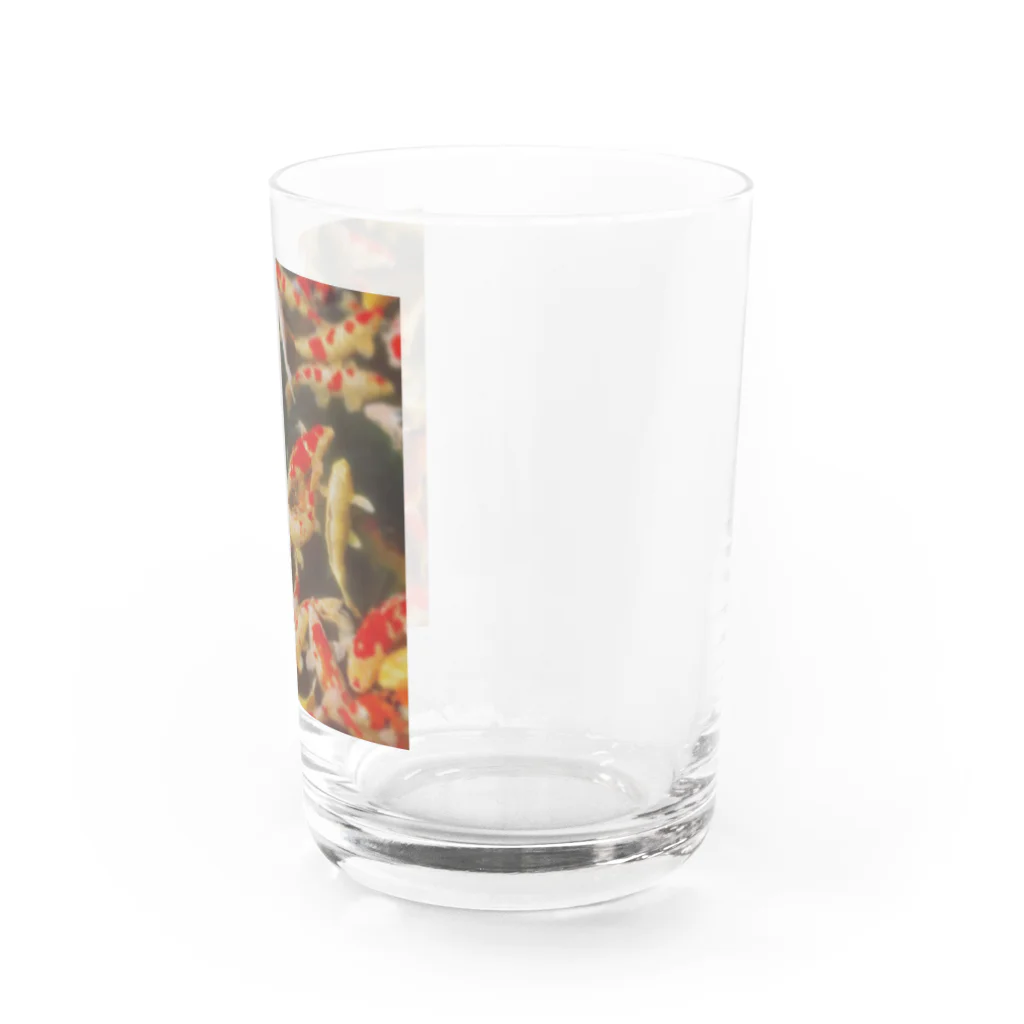 FumiProgrammerの鯉 Water Glass :right