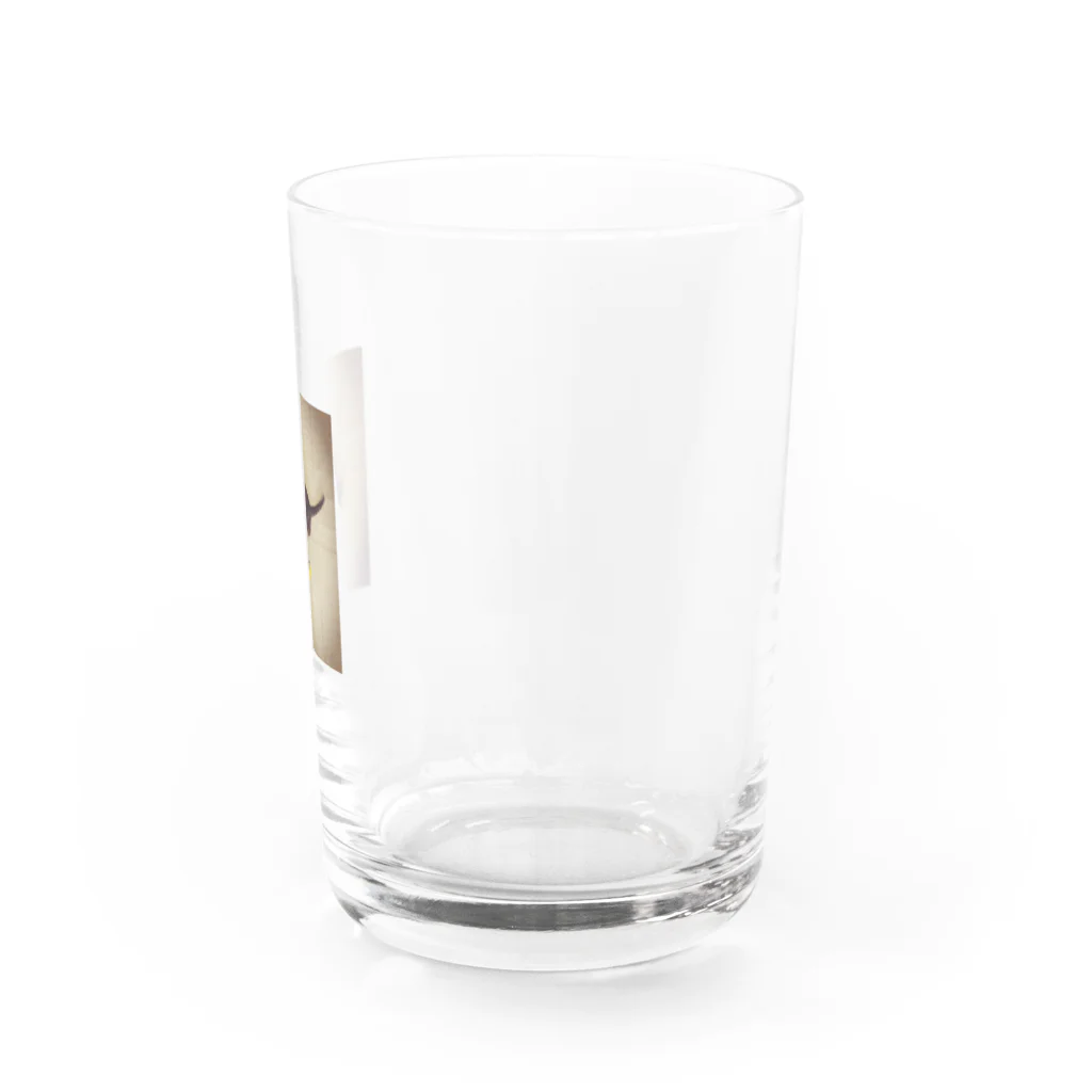 ゆーこ☆の猫と花 Water Glass :right