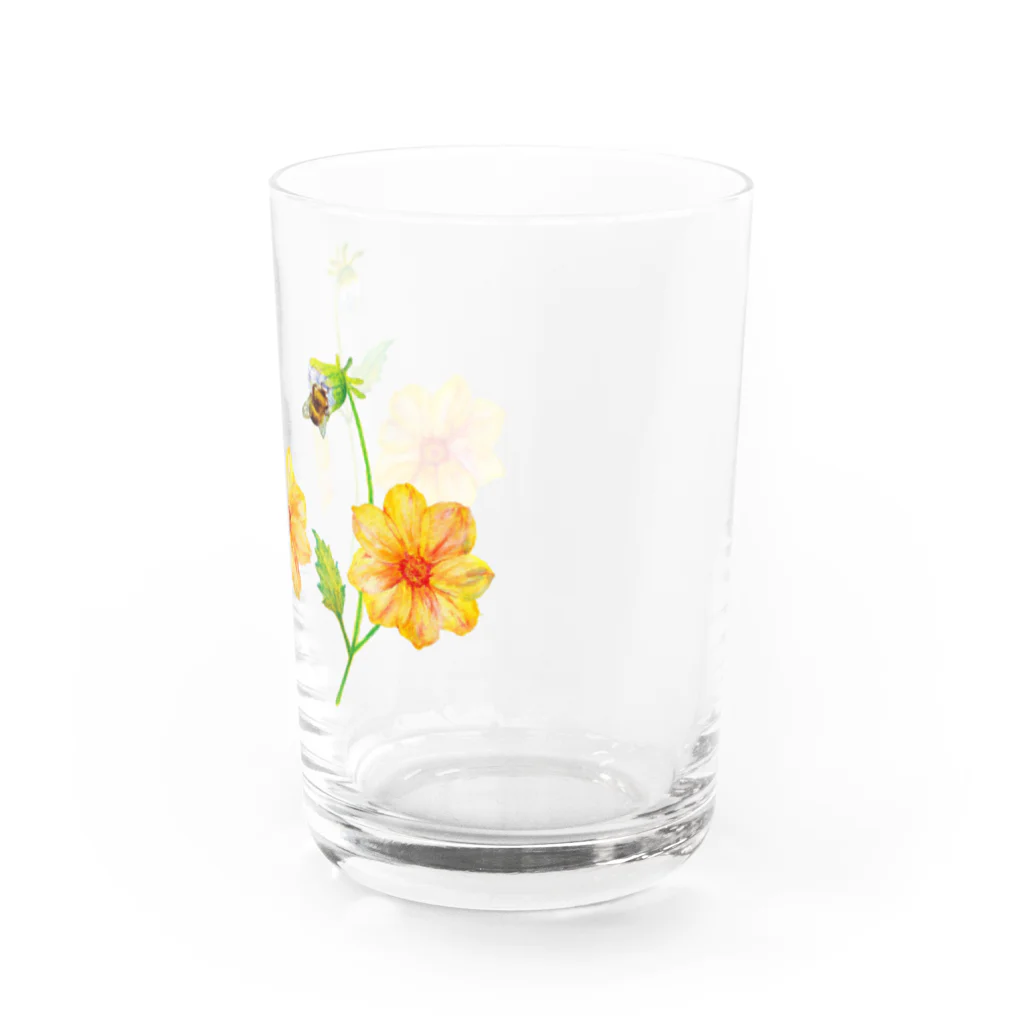 HosoMitsu-painterの黄色いダリア Water Glass :right