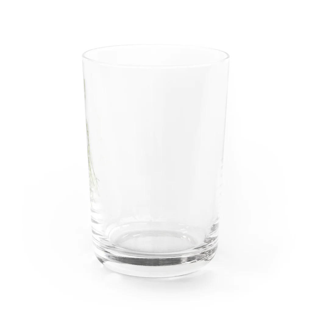 emi flowerのかすみ草をそばに Water Glass :right