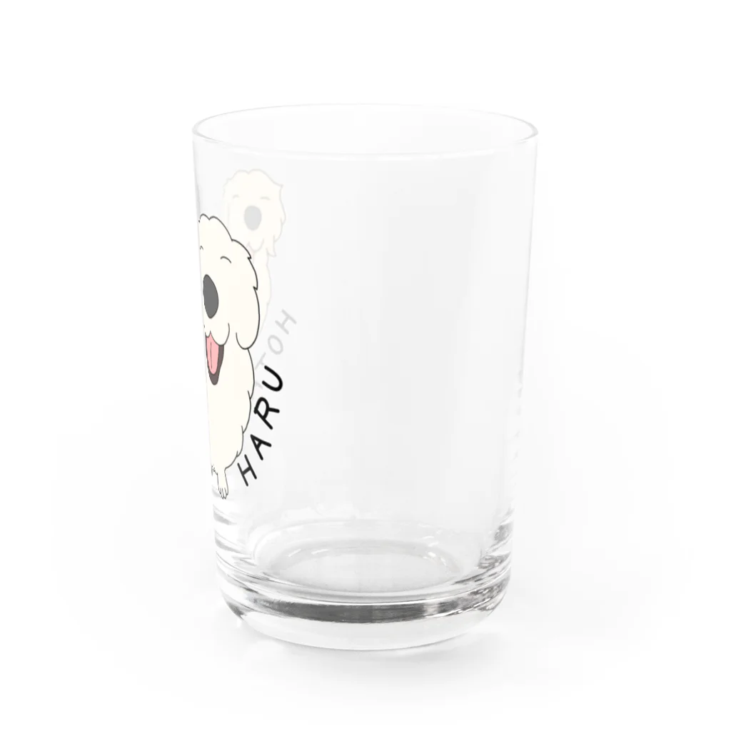 niconicotontonのうちの子1番☆蛍＆晴 ③ Water Glass :right