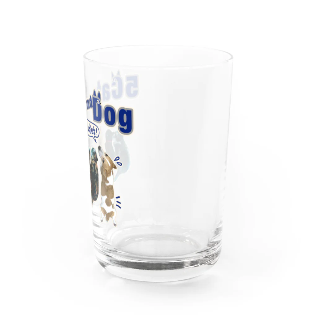 Buddyの5Cats and Dog Water Glass :right