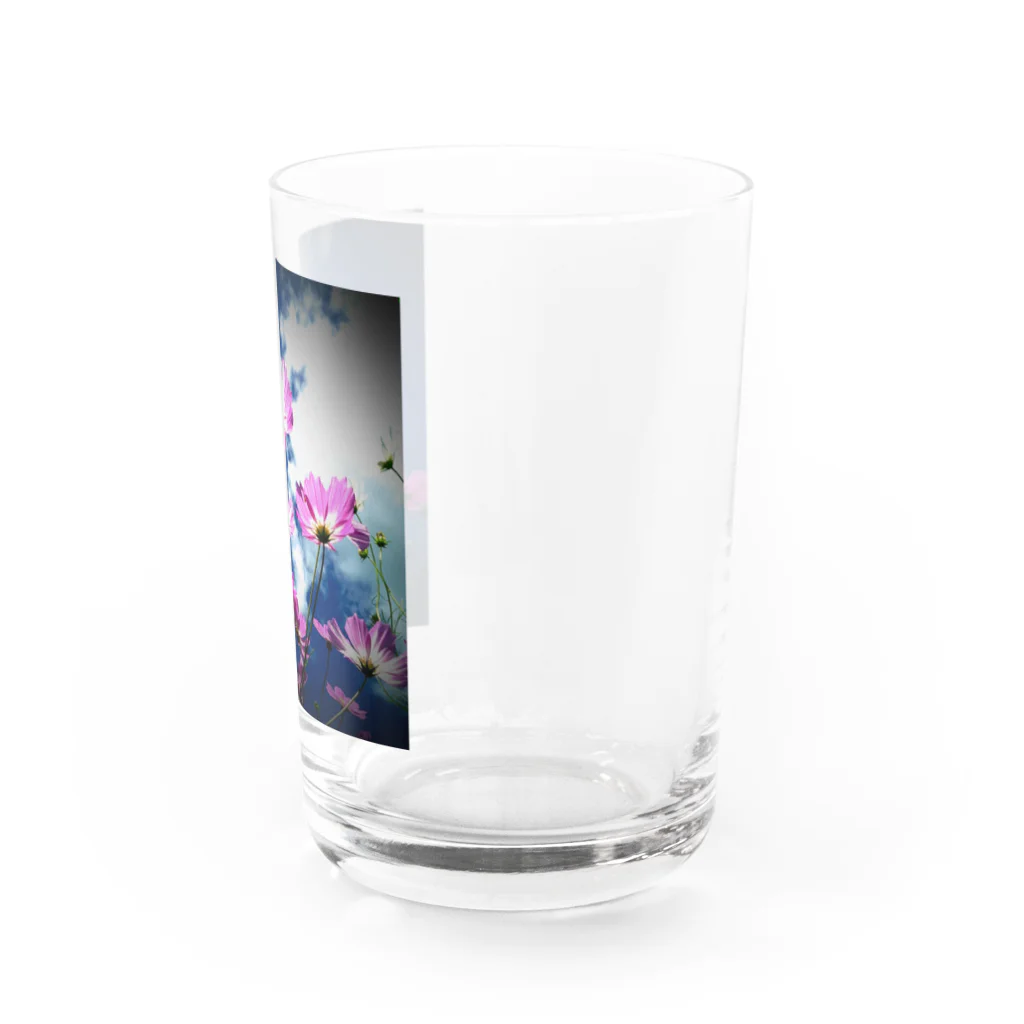 幸せをひっかけるかぎしっぽの空とコスモス Water Glass :right