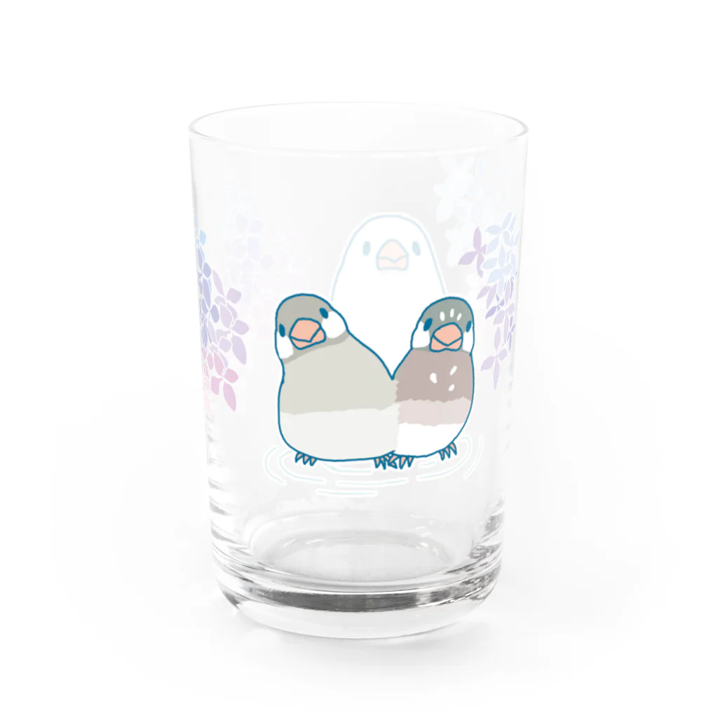 BUNCHOBOXのあじさい文鳥さん Water Glass :right