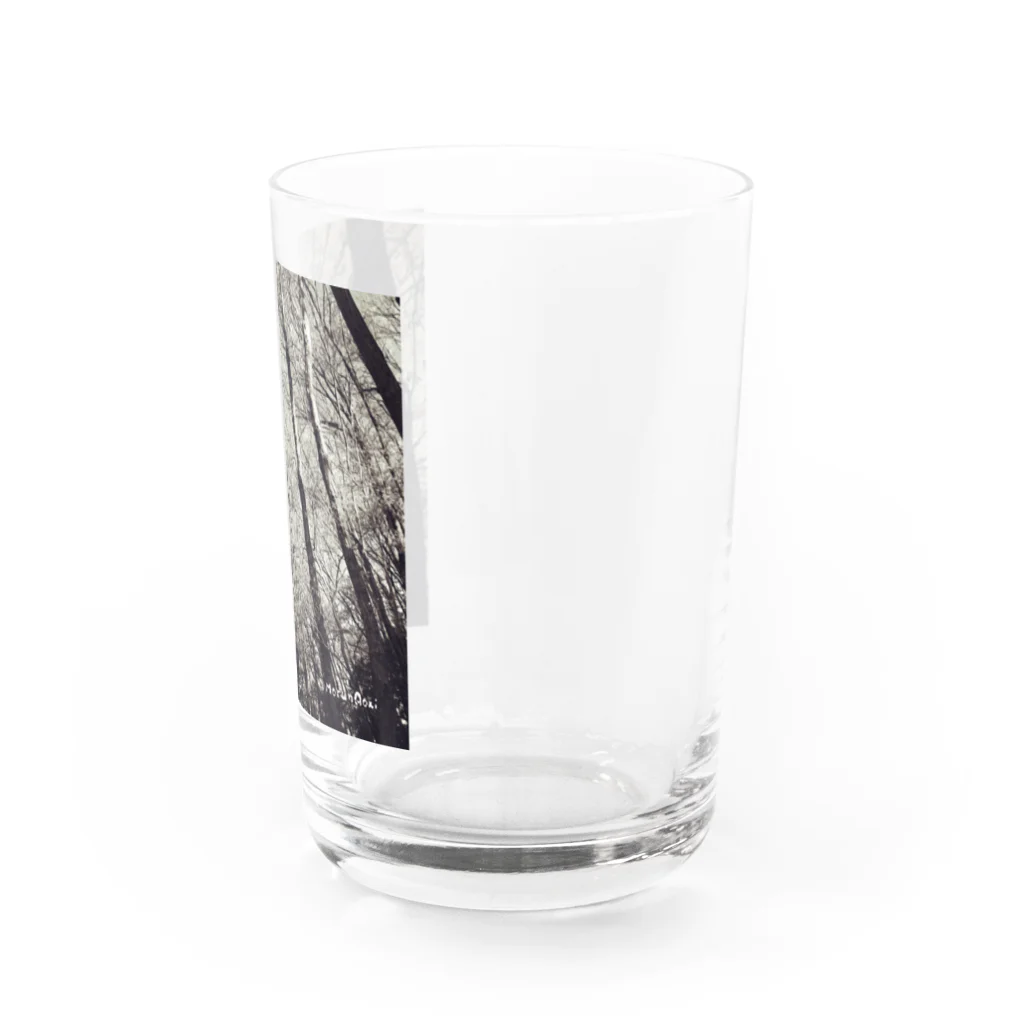 あおちゃん商会の冬の森 （モノクロ）　 Water Glass :right