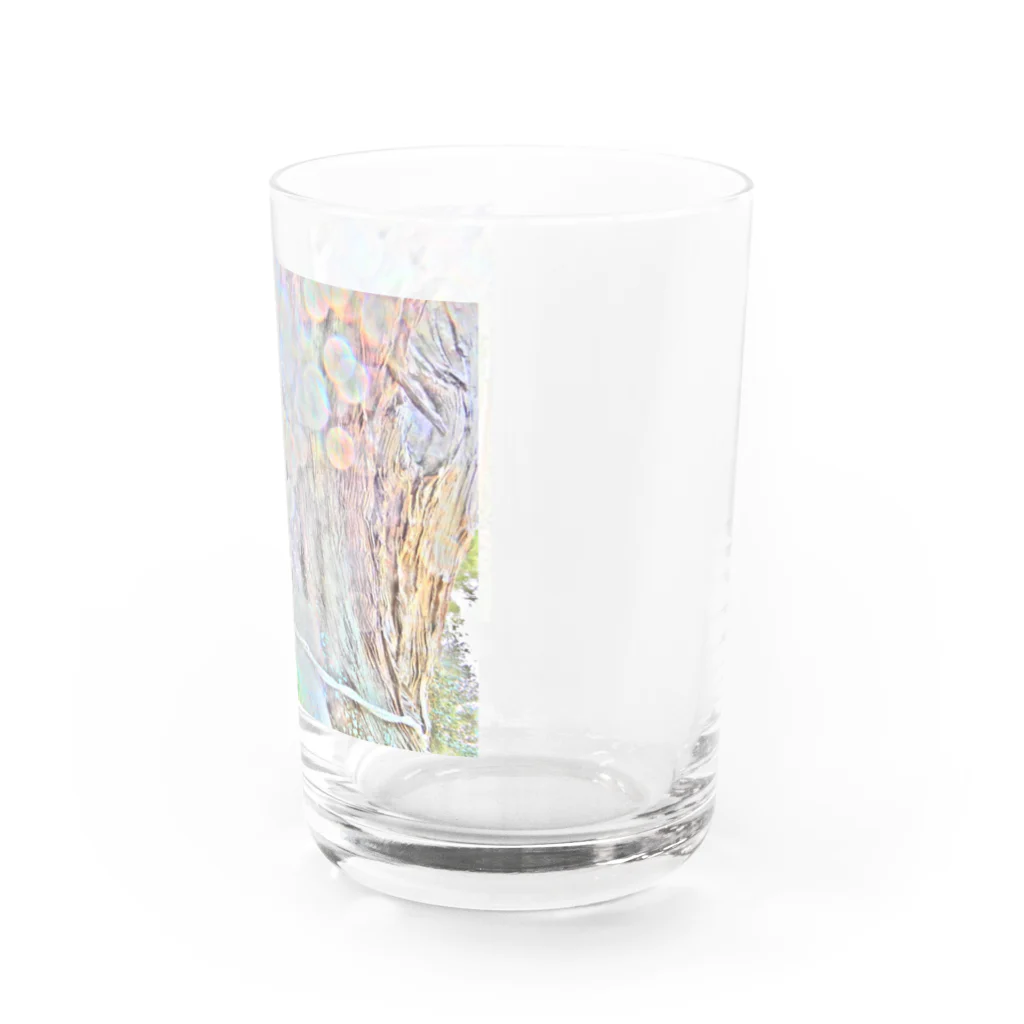 光の司　ひかりのつかさの三陸大王杉 Water Glass :right