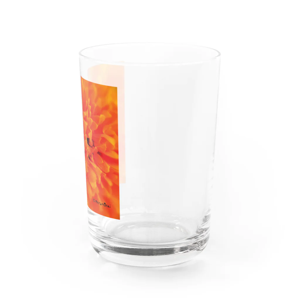 あおちゃん商会のMarigold （マリーゴールド）オレンジ Water Glass :right