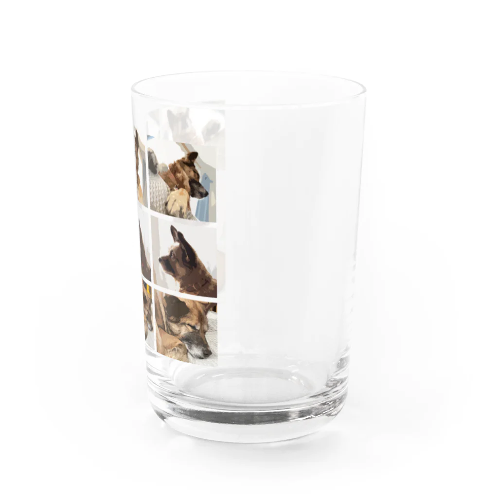 mmrのNew mim294 Water Glass :right