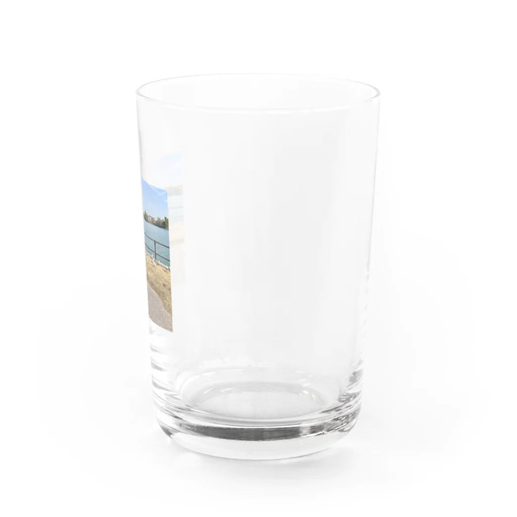 pm11:38の湖と鳥 Water Glass :right