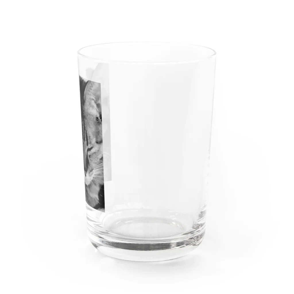 shop kochibiのモノクロ猫 Water Glass :right