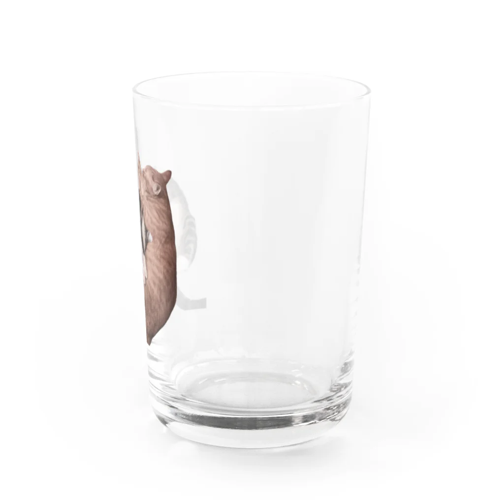 ナカムラショップのひとんちのねこ（にひき） Water Glass :right