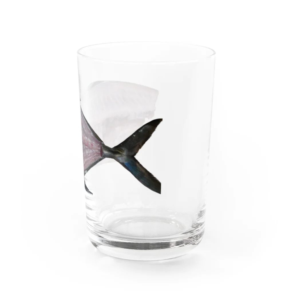ビるばの捌いた魚 Water Glass :right