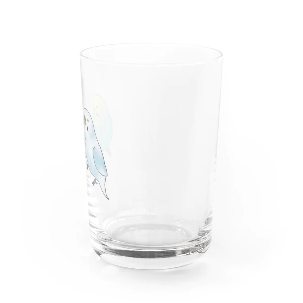 Talkingのセキセイインコ Water Glass :right