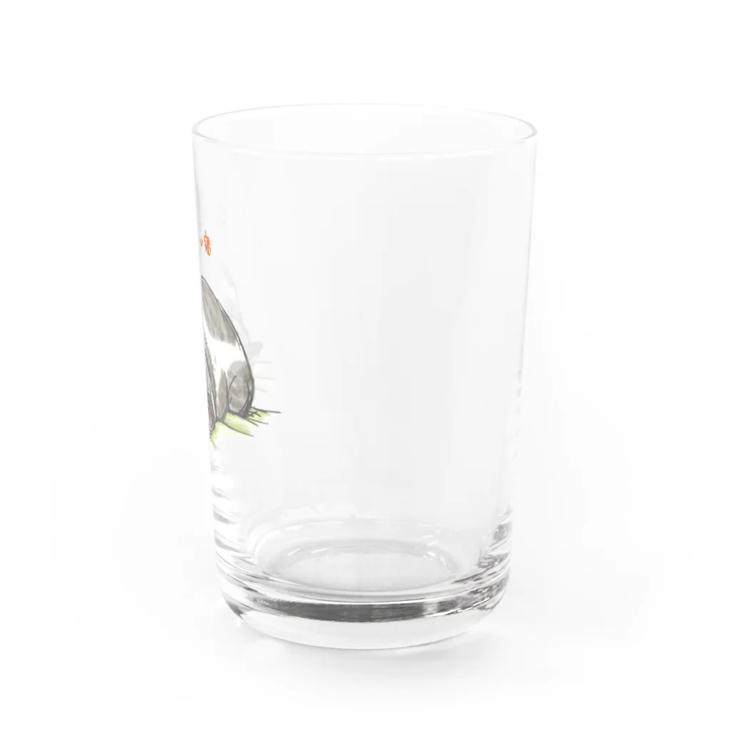 ちまき茶屋のごめん寝ねこ Water Glass :right