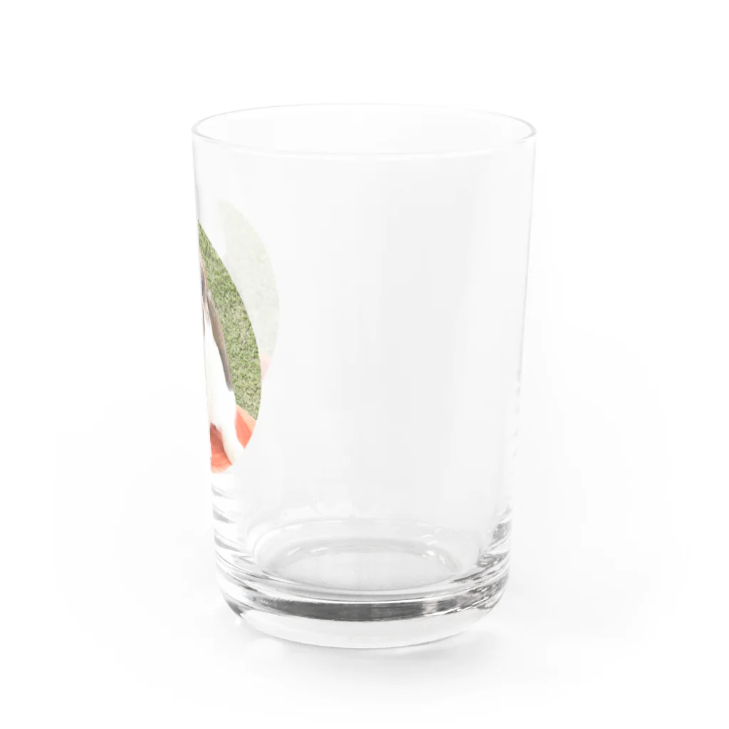 シアン・クレールの芝生でりんちゃん Water Glass :right