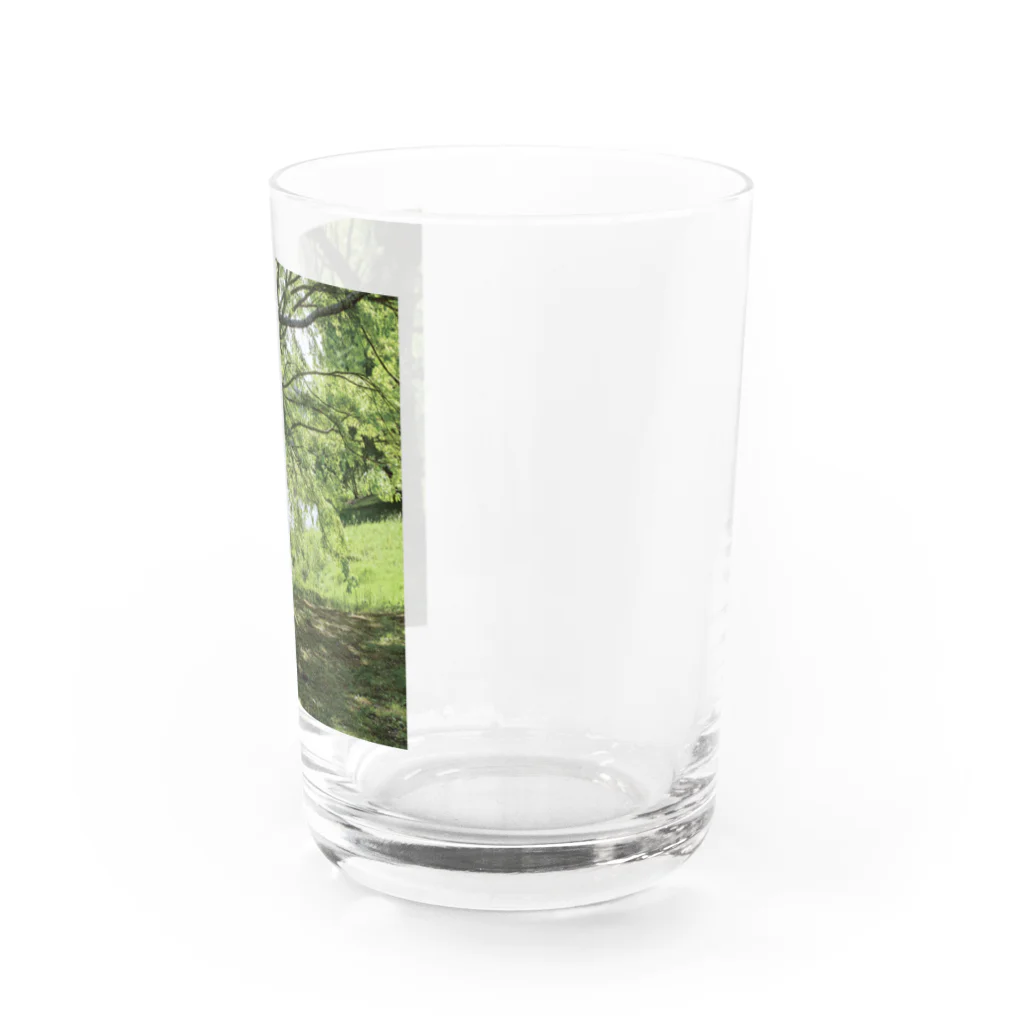 akane_art（茜音工房）の癒しの風景（樹木） Water Glass :right