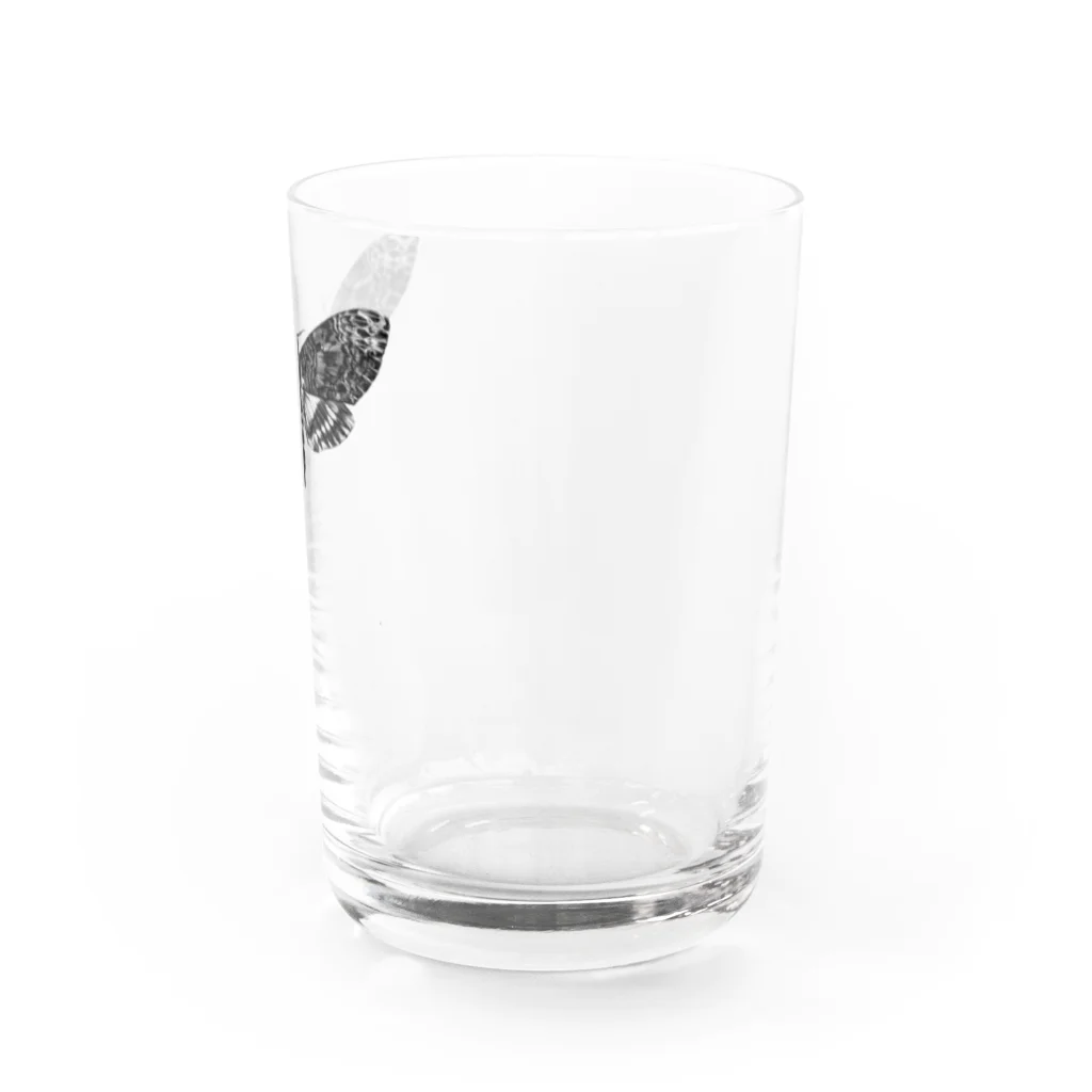 シャレコーベミュージアムのメンガタスズメ Water Glass :right