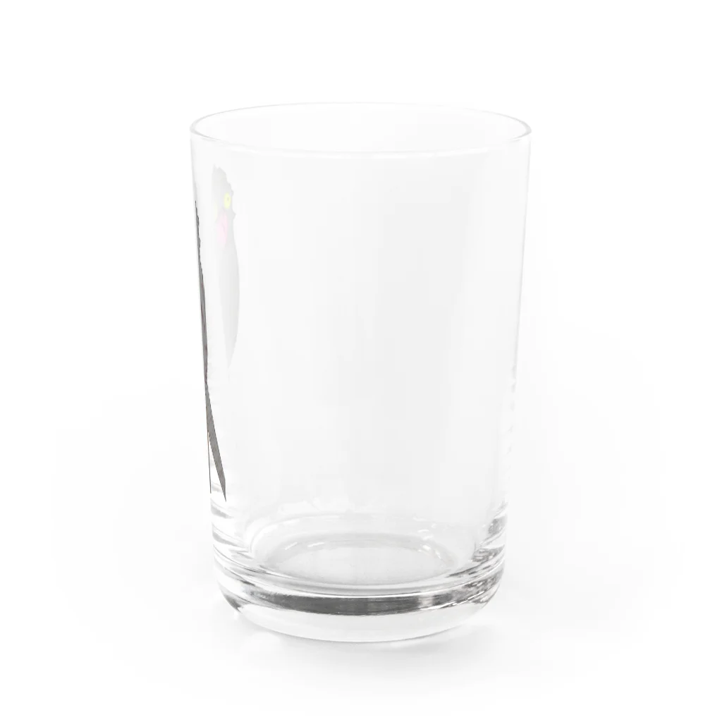 野村商店のタチヨタカ君 Water Glass :right