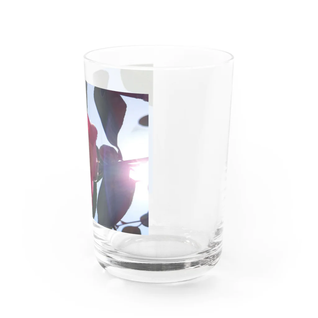 Ukazuのつばき Water Glass :right