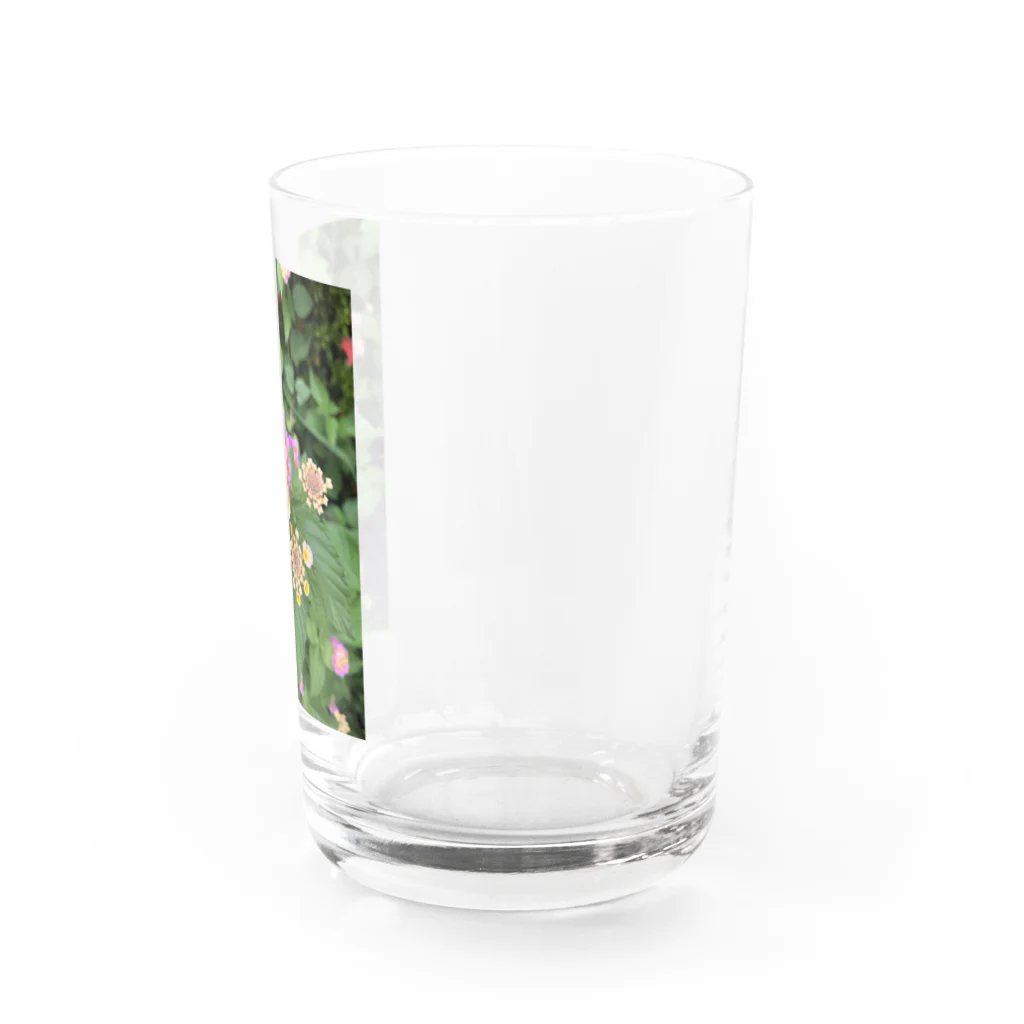 風薫る夏の大分の自然5 Water Glass :right