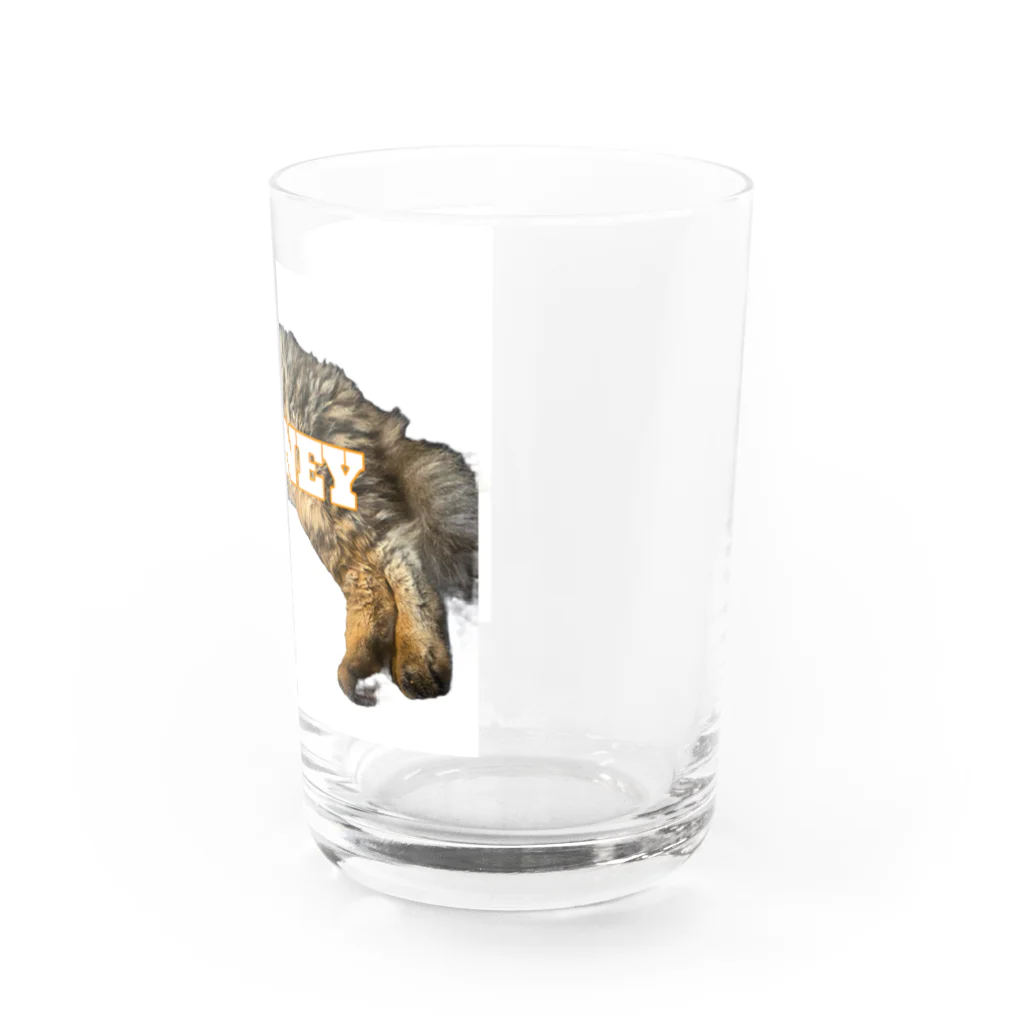 あちゃしょっぷのHONEY（オレンジ） Water Glass :right
