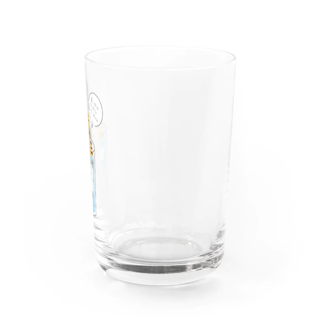 mapechiのトラネコしまお、暑いの苦手 Water Glass :right