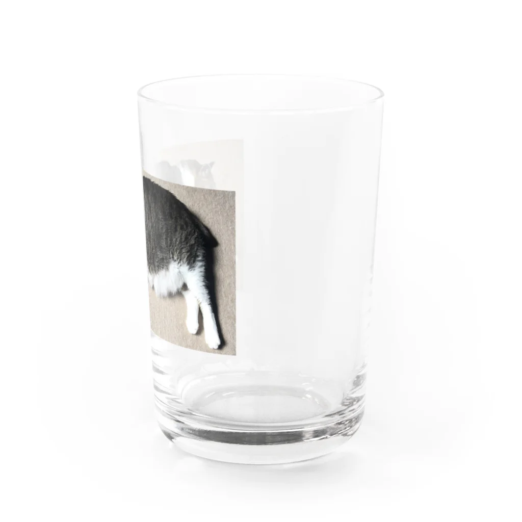 まさむねの姉のまさむね_2 Water Glass :right