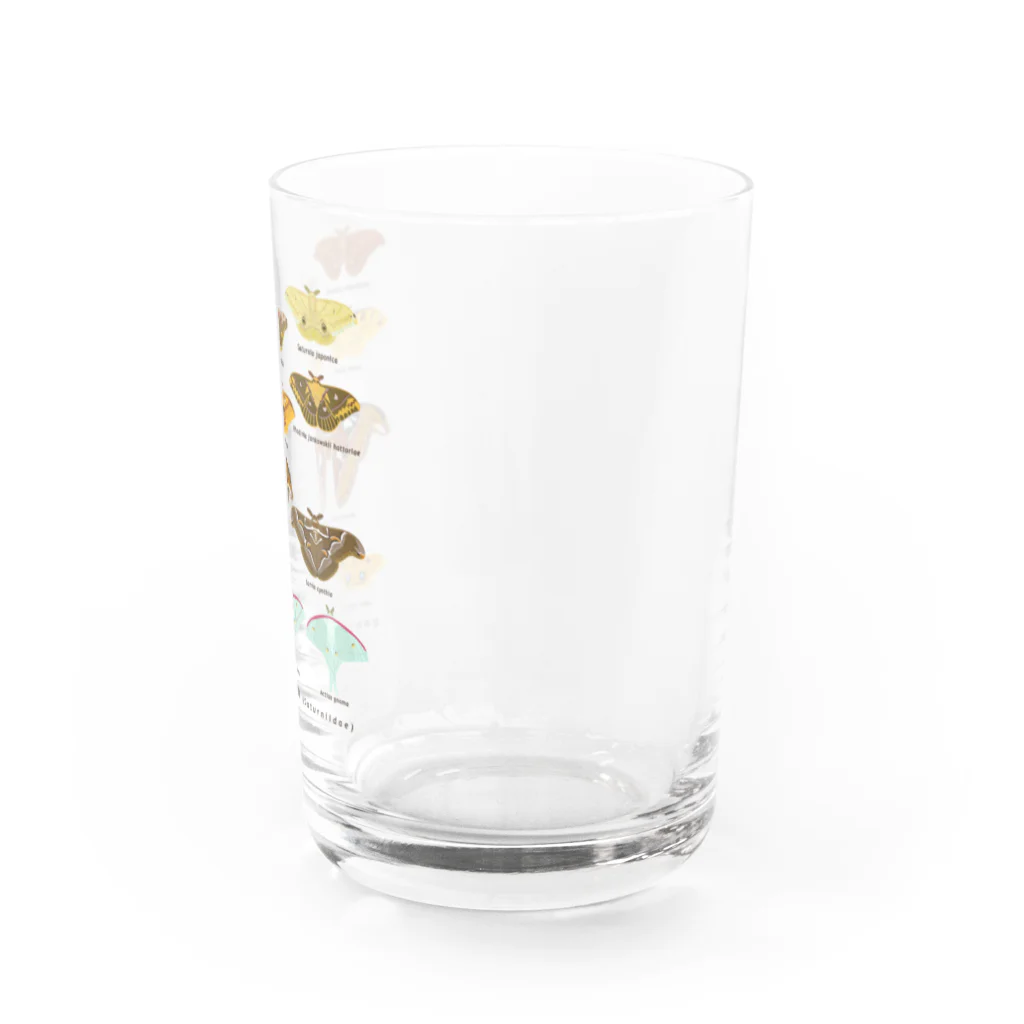 さちこの生物雑貨のヤママユガ科のなかま Water Glass :right