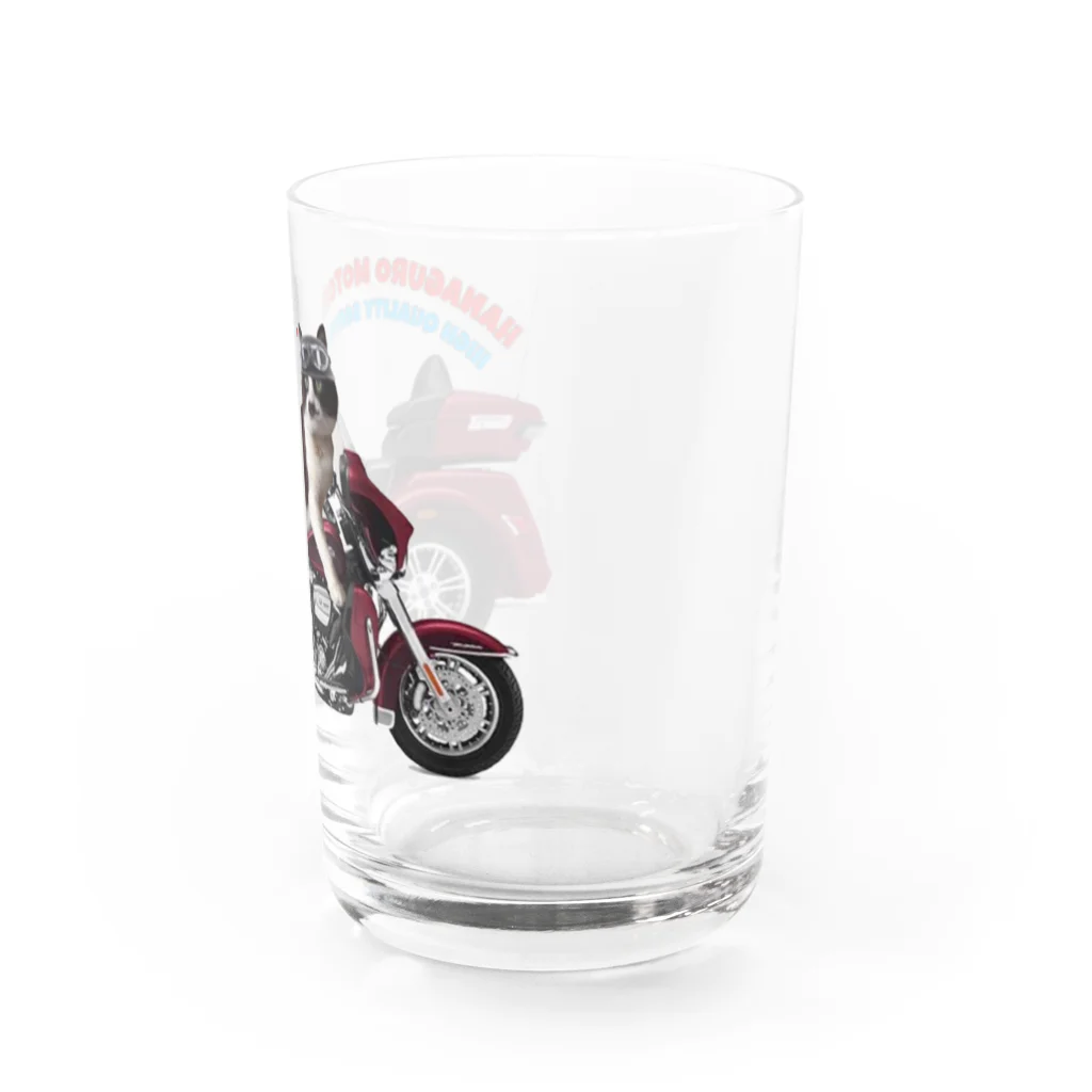 ごまわさびのHANAGURO MOTORS 創業者ごま Water Glass :right